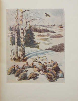 Бинки В. Оранжевое горлышко. Л., 1954.